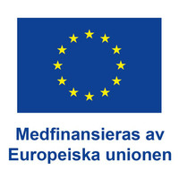 En blågul flagga med gula stjärnor.