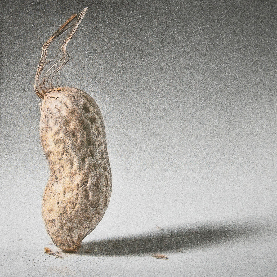 Nils Bergendal