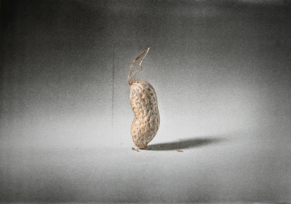 Nils Bergendal