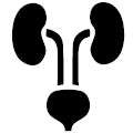 Manssymbol