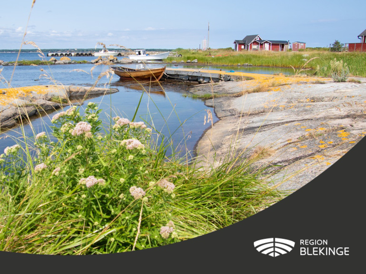 Skärgårdsutsikt med grönska i förgrunden och hav med båtar i bakgrunden. I nederkant en svart våg med Region Blekinges vita logotyp.