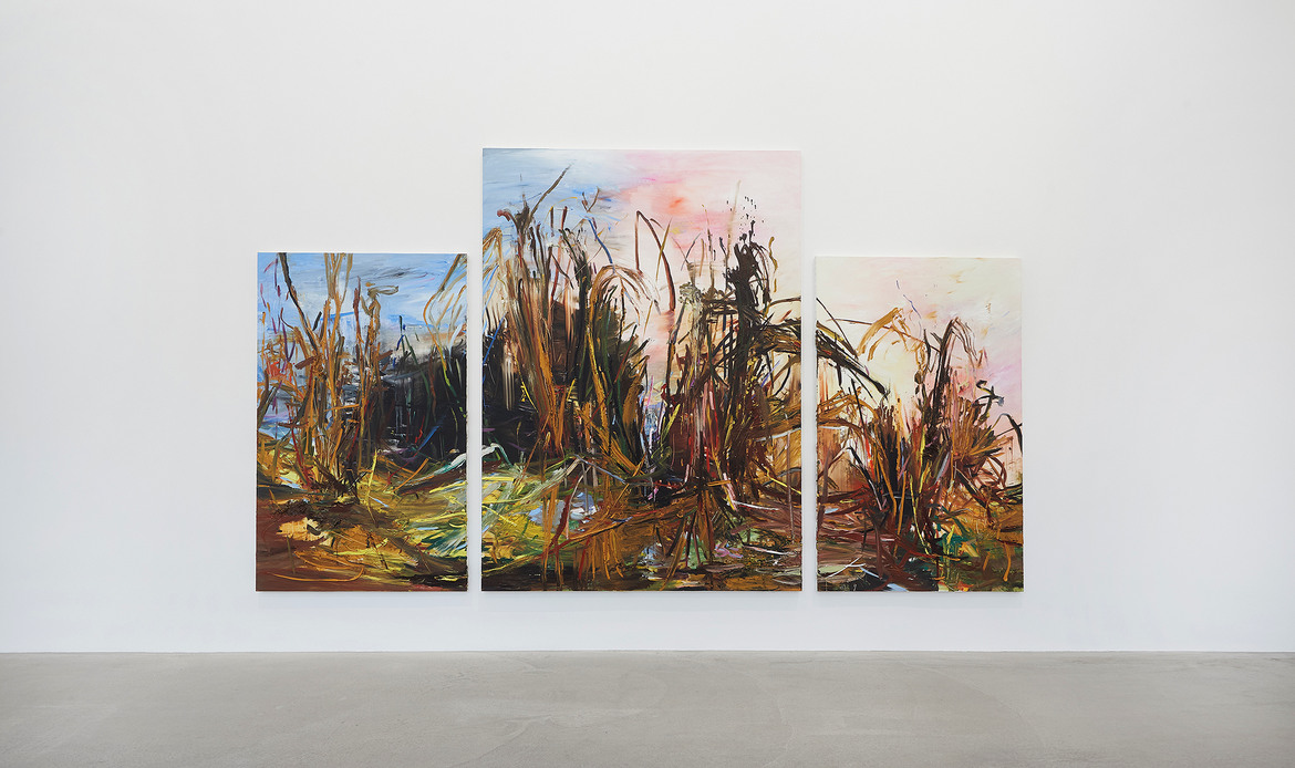 Jenny Carlsson