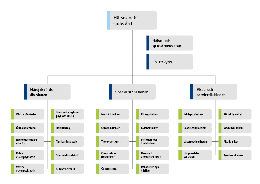 Organisationsskiss för hälso- och sjukvården