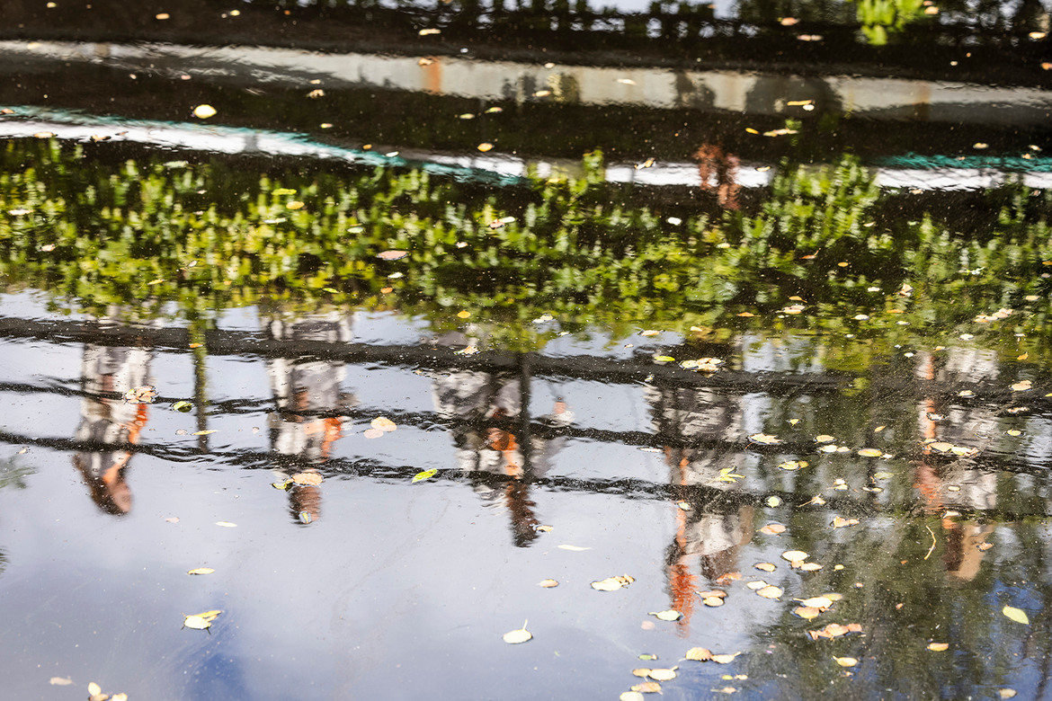 Foto: Anders Bergön