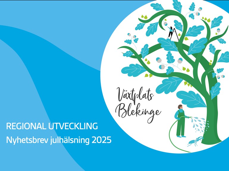 Regional utveckling, Julhälsning 2025