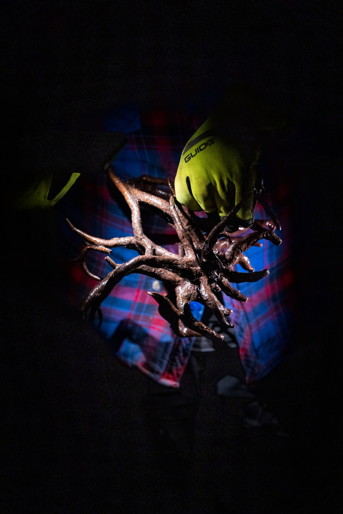 Foto: Anders Bergön